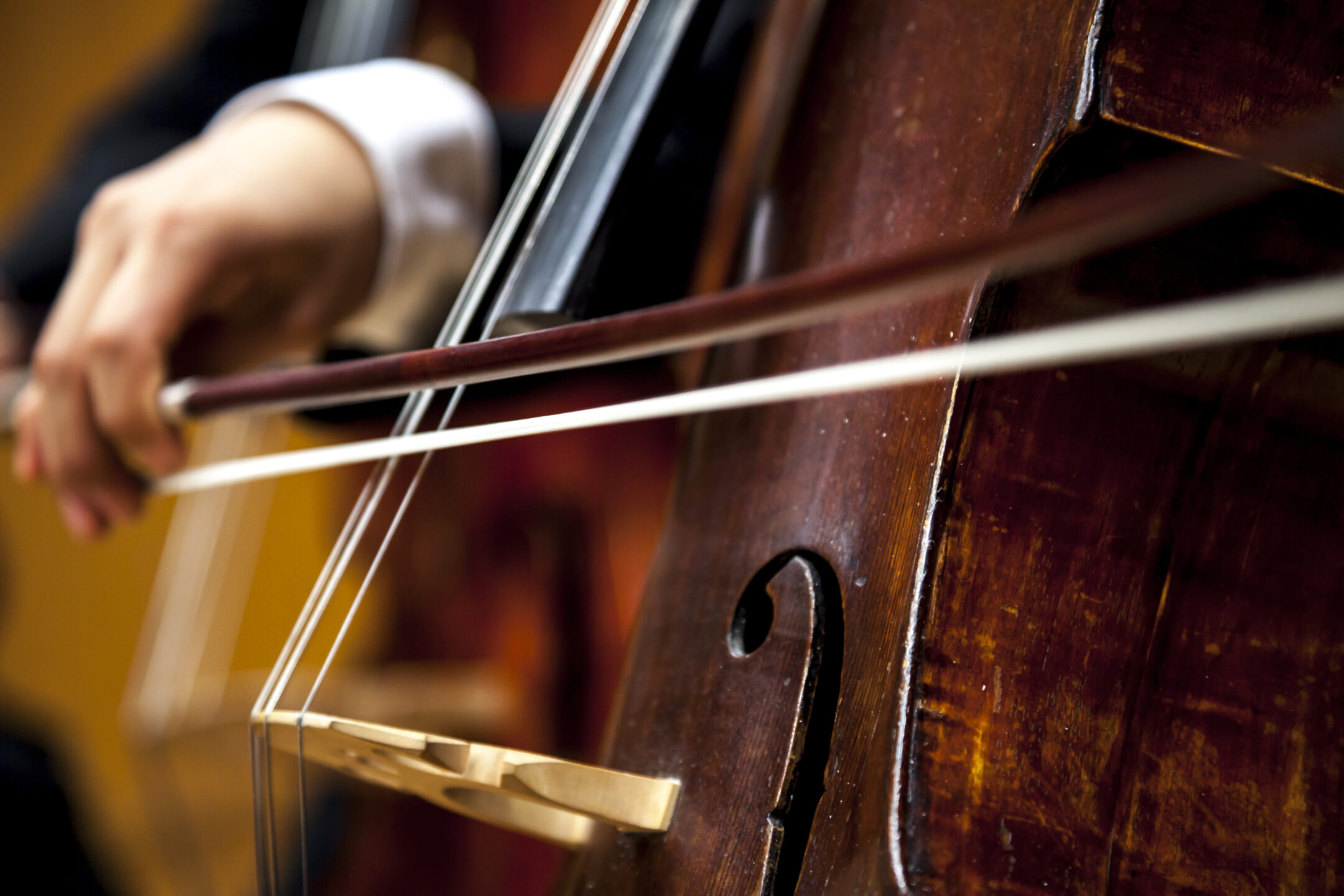 Cellounterricht-Geigenunterricht-Frankfurt